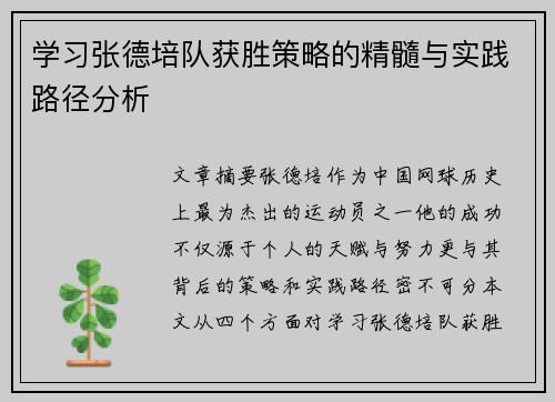 学习张德培队获胜策略的精髓与实践路径分析 学习张德培队获胜策略的精髓与实践路径分析