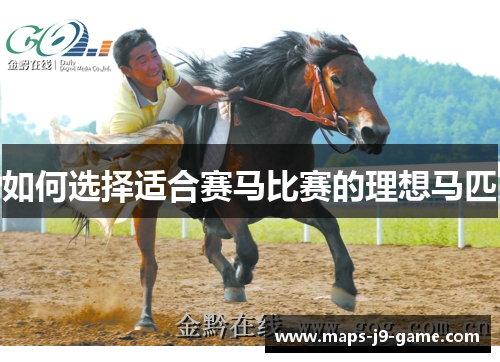 如何选择适合赛马比赛的理想马匹 如何选择适合赛马比赛的理想马匹