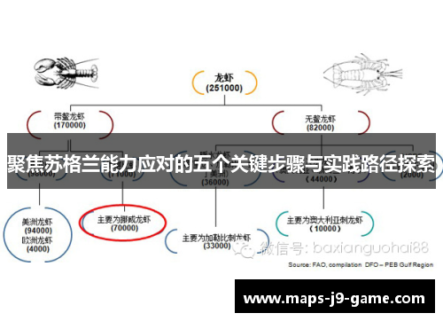聚焦苏格兰能力应对的五个关键步骤与实践路径探索 聚焦苏格兰能力应对的五个关键步骤与实践路径探索